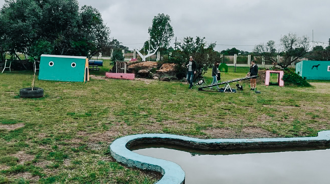 6ebf1d11-2d55-4dc8-86ea-f9d262a6f954