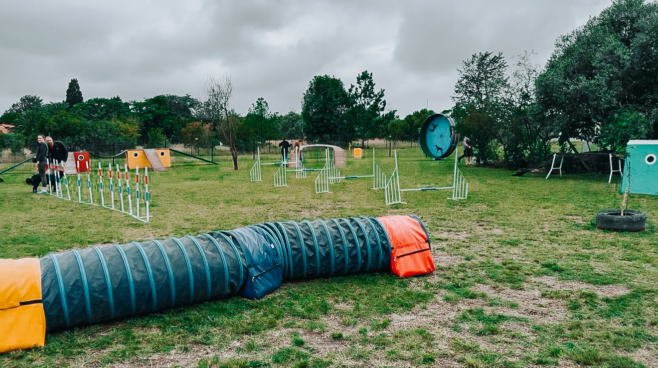 b85c8f7c-e2ac-4143-b55b-0f73052c5c85