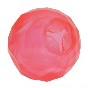 Biosafe Puppy Treat Ball