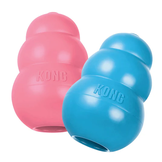 KONG Puppy Treat Toy