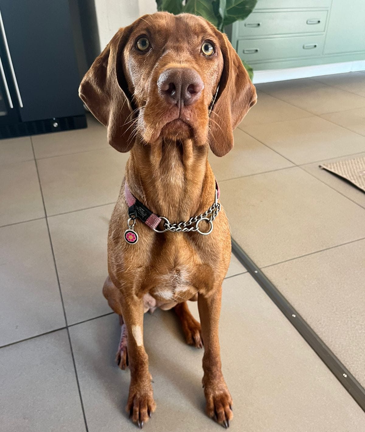 PHOTO-2025-11-29-10-08-40