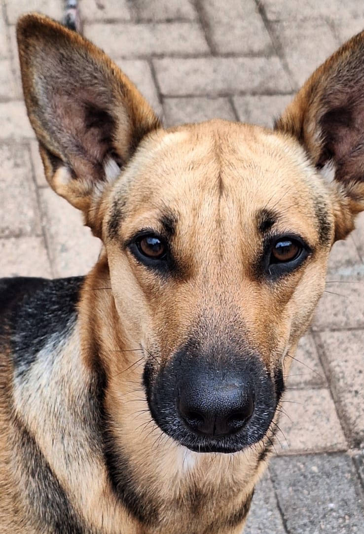 PHOTO-2025-12-01-14-08-49