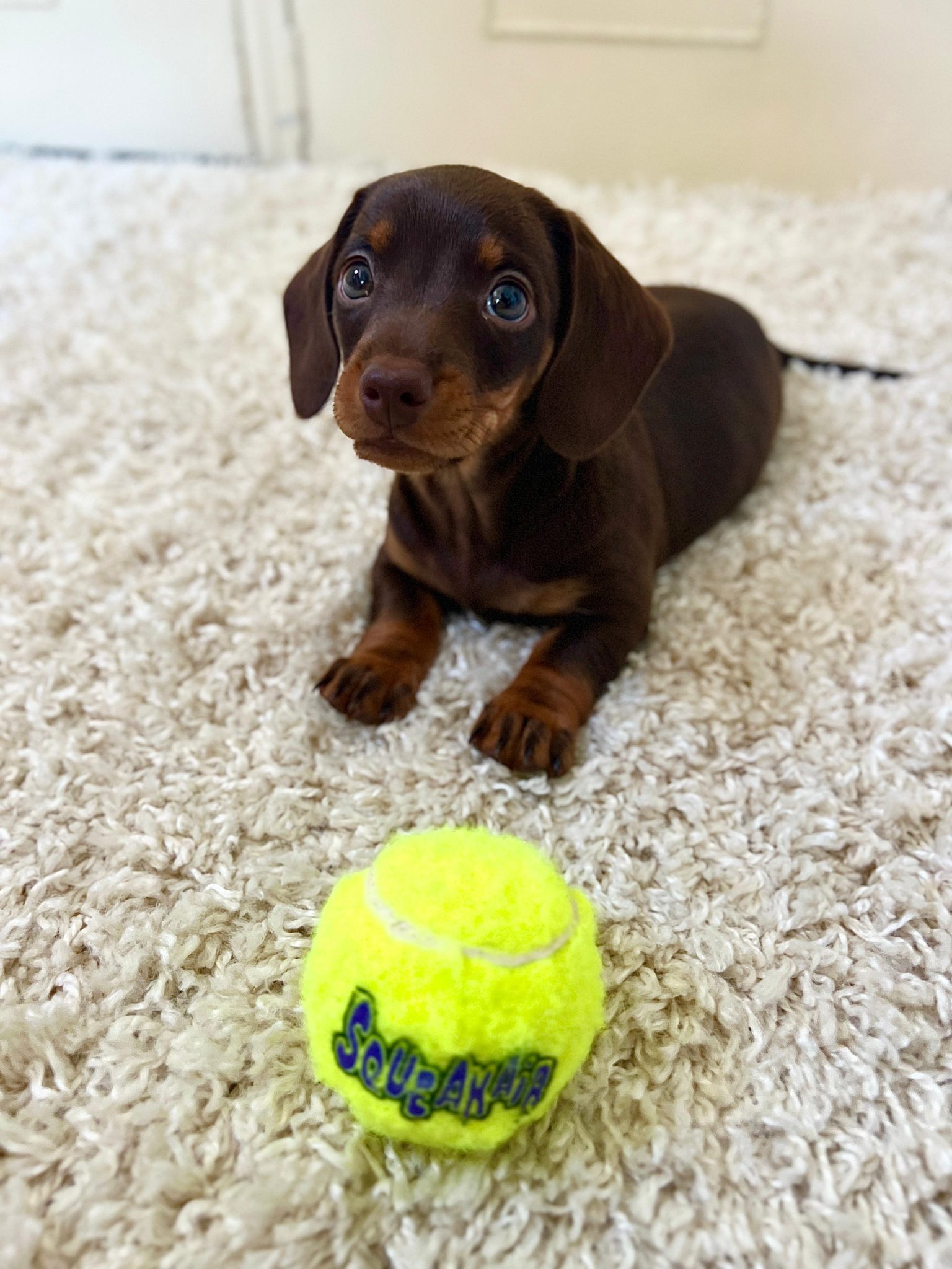 0eee135d-478f-4eda-a1d6-ac37027eccf2