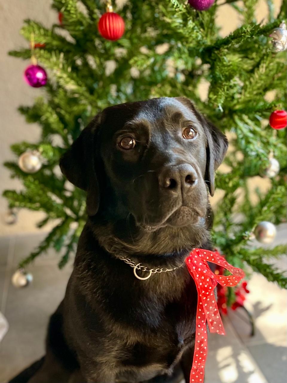 16ba08ac-dbdc-4262-91ea-7f3580e3455d