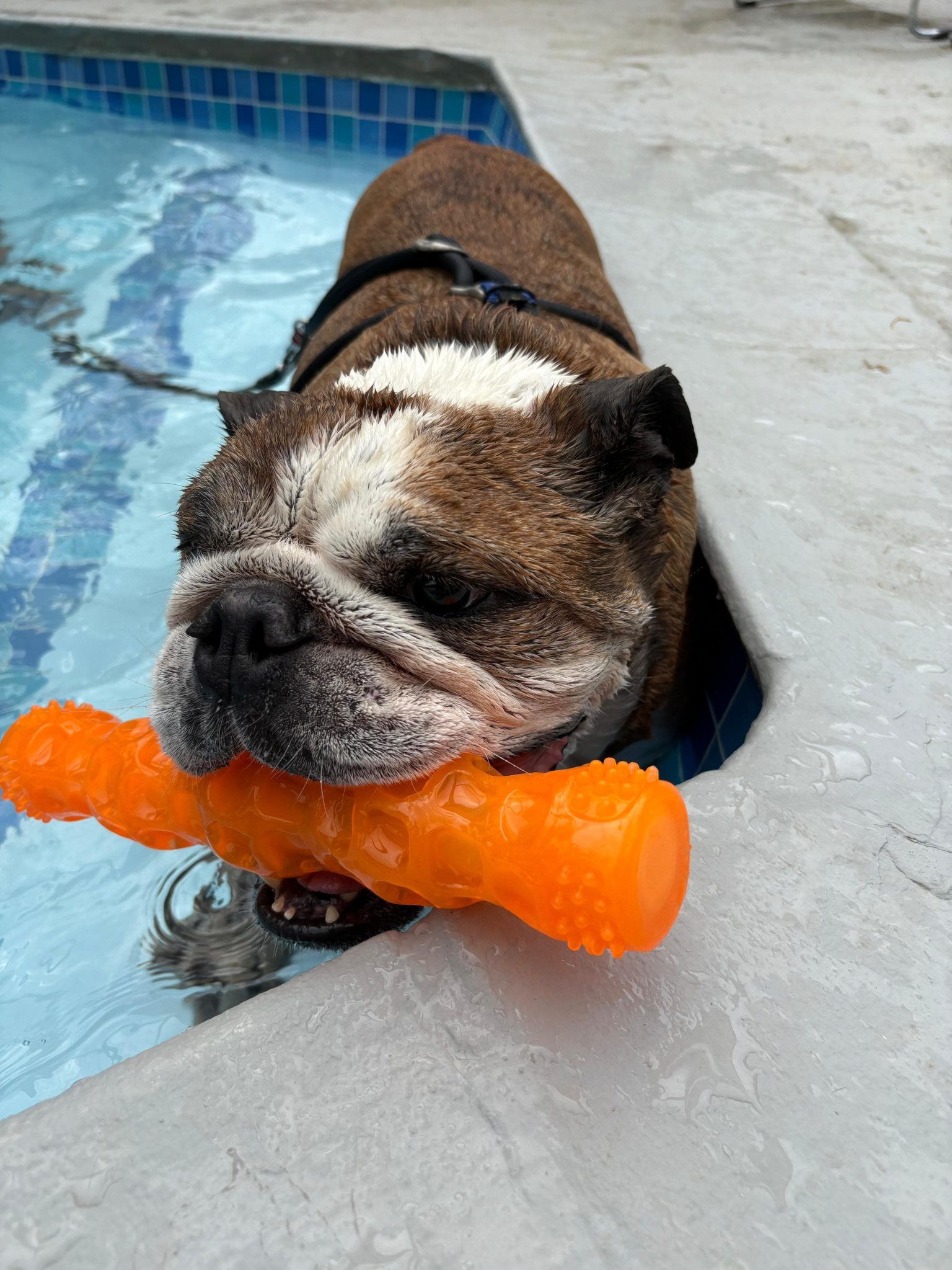 315d9cf3-4f66-4302-bab7-f54566b04d68