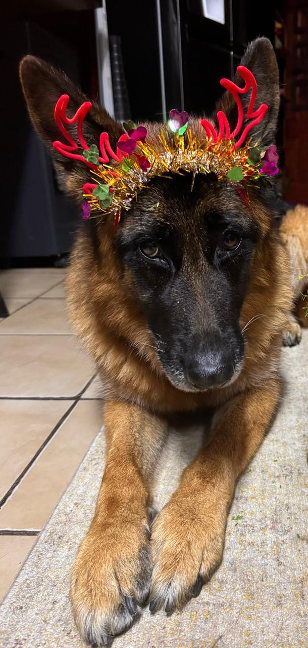 366876a4-aa82-4416-8b6b-9e16967fce89