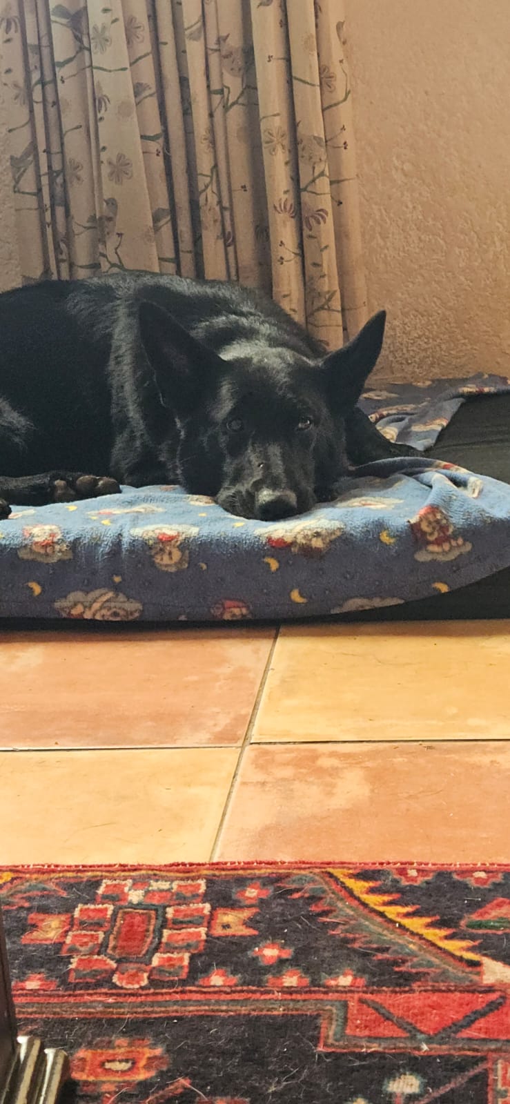 64fbd3c7-64c8-4ab8-8104-91598b39e6e1