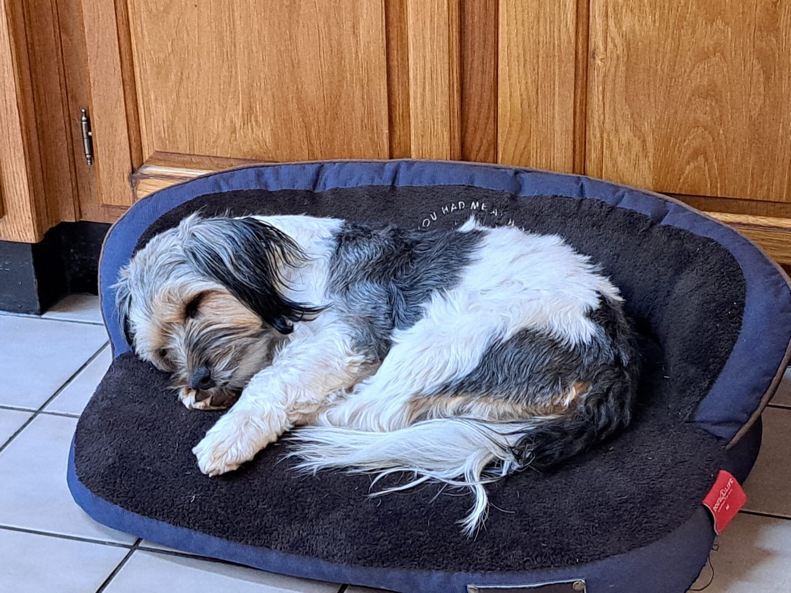 ad47d4ce-b503-41fc-8aa2-31daa63826c5