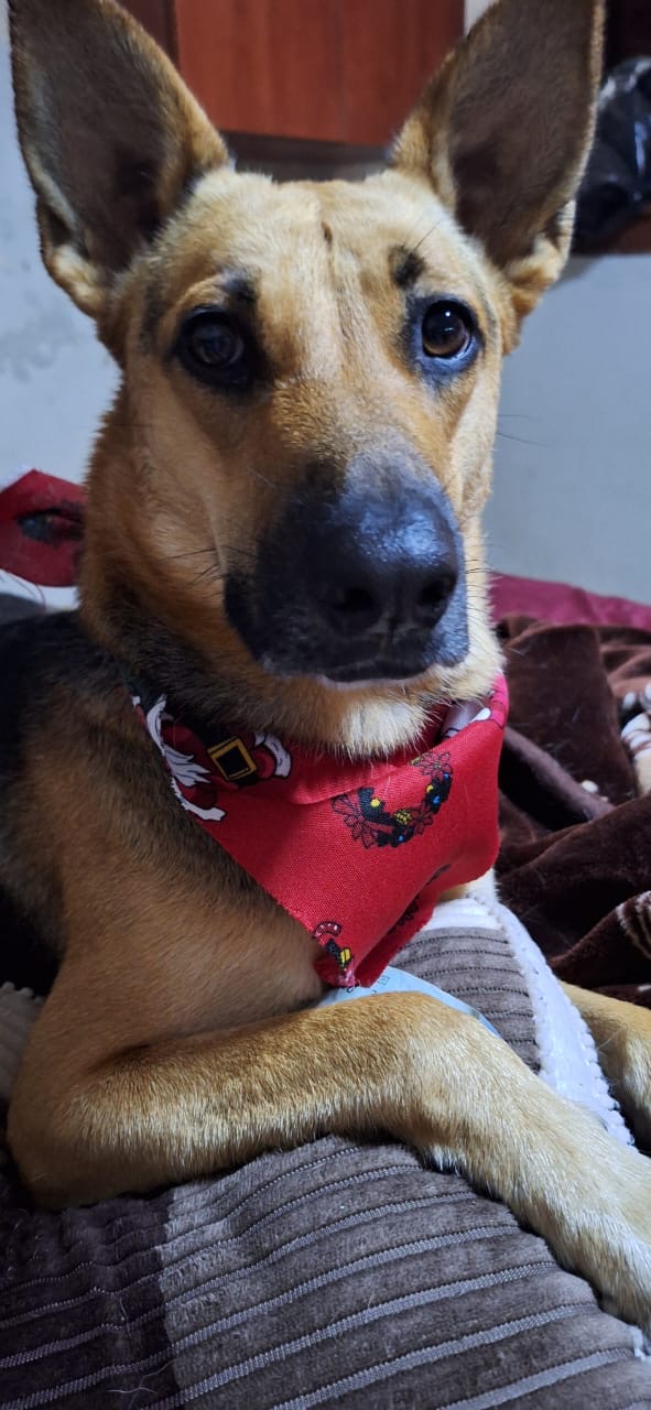 b6ade26e-3a51-472c-b5b5-5ce48b0647aa