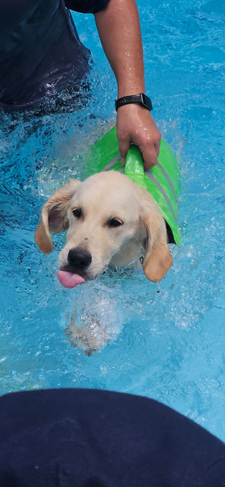 c2950494-8fe7-4075-a27b-77de295f24ee